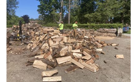 Port of Skagit creates Community Firewood Program